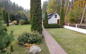 Ogród marzeń